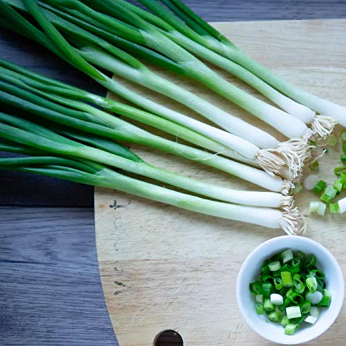 Gaea's Blessing Seeds - Scallion Seeds - Non-GMO Seeds with Easy to Follow Planting Instructions - Bunching Evergreen Hardy White Nebuka 90% Germination Rate 3.5g