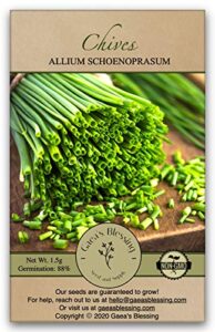 gaea's blessing seeds - chives seeds (1000 seeds) non-gmo seeds with easy to follow planting instructions - open-pollinated heirloom 88% germination rate 1.5g (single packet)