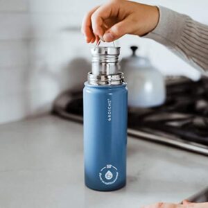 GROSCHE Chicago Steel Infuser Bottle, tea infuser flask, infuser water bottle thermos, Insulated Stainless Steel flask with tea infuser (Blue, 16 fl oz)