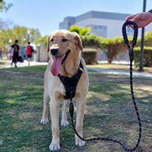 Petmegoo 5ft 1/2in Heavy Duty Black Dog Leash for Large Dogs & Medium Size Dogs - Highly Reflective Heavy Duty Dog Rope Leash with Soft Padded Anti-Slip Handle- for 18-120 lbs Dogs