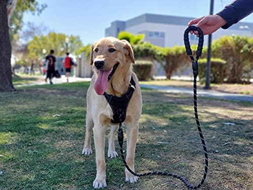 Petmegoo 5ft 1/2in Heavy Duty Black Dog Leash for Large Dogs & Medium Size Dogs - Highly Reflective Heavy Duty Dog Rope Leash with Soft Padded Anti-Slip Handle- for 18-120 lbs Dogs