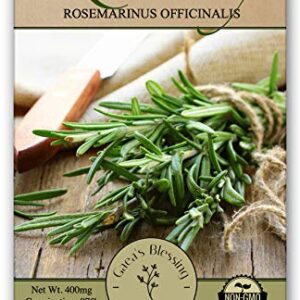 Gaea's Blessing Seeds - Rosemary Seeds - Heirloom Non-GMO Seeds with Easy to Follow Instructions 97% Germination Rate (Single Pack)