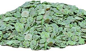 Small Pet Select- Pea Flakes, 8oz,green