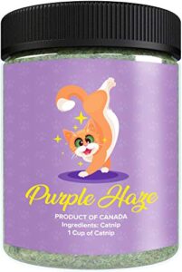 purple haze catnip, premium blend safe for cats, infused with maximum potency your kitty is sure to go crazy for (1 cup)