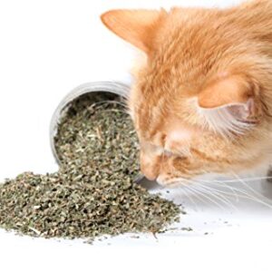 Purple Haze Catnip, Premium Blend Safe for Cats, Infused with Maximum Potency Your Kitty is Sure to Go Crazy for (1 Cup)