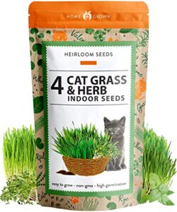 3200+ cat grass seeds - catnip seeds, alfalfa seeds, oat seeds, and oat & barley mix - grow cat grass for indoor cats - cat grass seeds bulk - refill cat growing grass kit - heirloom herb seed