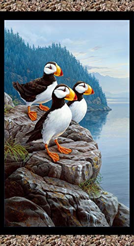 Puffins digitaly Printed Panel by Darrel Bush from Elizabeth's Studio Cotton Quilt Fabric 8913 Black