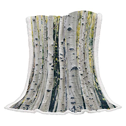 Plush Sherpa Fleece Throw Blanket Birch Trees Mottled Trunk Wilt Twigs Leaves Deciduous Woodland Warm Cozy Blanket,Soft Fuzzy Reversible Lightweight Blanket for Couch,Sofa and Bed 50x60 inch