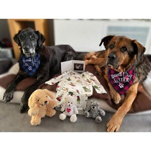 Big Sister Dog Bandana, Reversible Plaid Triangle Bibs Pet Scarf