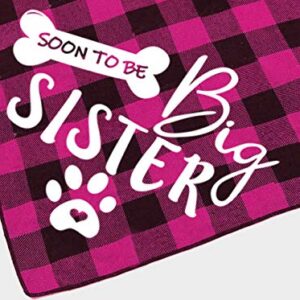 Big Sister Dog Bandana, Reversible Plaid Triangle Bibs Pet Scarf