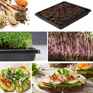 ANPHSIN Plant Growing Trays- 10 Pack 10.6” × 10.6” No Drain Holes Microgreens Growing Trays, Thickened Garden Plant Seed Starter, Indoor Greenhouse Seedling Propagation Trays for Wheatgrass