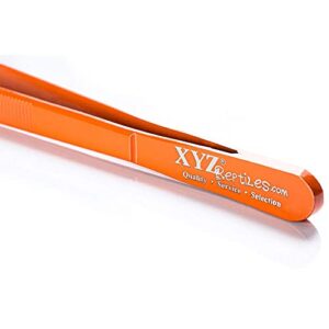 XYZReptiles Snake Feeding Tongs Stainless Steel Reptile Feeding Tongs With PVC Safety Tip (12 inch, Orange)