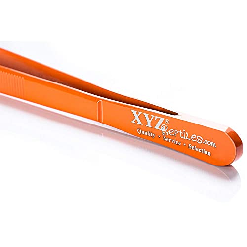 XYZReptiles Snake Feeding Tongs Stainless Steel Reptile Feeding Tongs With PVC Safety Tip (12 inch, Orange)