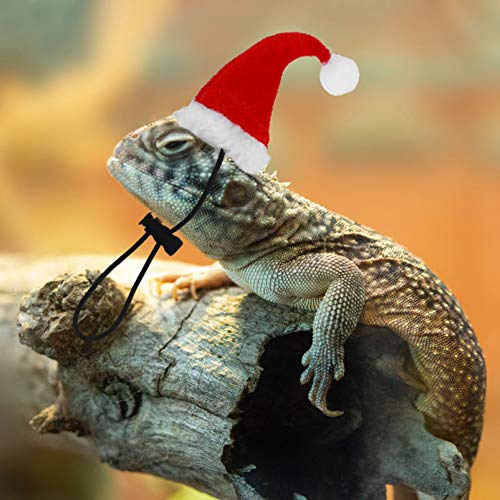 Hemobllo 2pcs Bearded Dragon Santa Hat for Lizard Reptile with Scarf Christmas Pet Costume Clothes Outfit for Xmas Holiday Party Photos Props Red