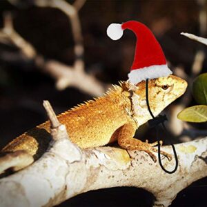 Hemobllo 2pcs Bearded Dragon Santa Hat for Lizard Reptile with Scarf Christmas Pet Costume Clothes Outfit for Xmas Holiday Party Photos Props Red