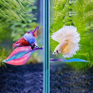 WILLBOND 2 Pieces Silicone Betta Bed Leaf Hammock for Betta Fish, Betta Fish Bed, Practical Resting Spot, No BPA, Comfortable and Safe (Blue, Pink)
