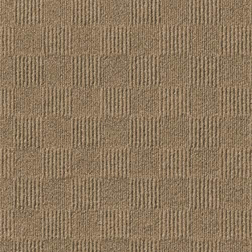 KOECKRITZ Chequer Style Indoor / Outdoor Area Rugs & Runners with a Natural Wool Like Softness ECO-Friendly DuraKnit Pile & Loop Carpet. Many Sizes and Colors Available (4' x 6', Taupe)