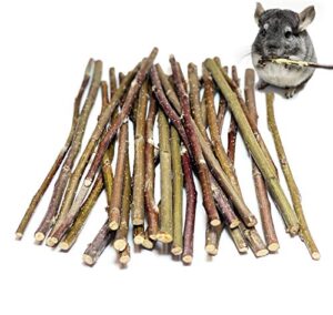 apple sticks 120 gram rabbit & hamster chew toys - 100% natural & organic chinchilla food, treats for guinea pig, squirrels, parrots & other small animals (made in ukraine)