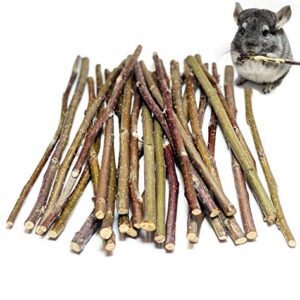 Apple Sticks 120 Gram Rabbit & Hamster Chew Toys - 100% Natural & Organic Chinchilla Food, Treats for Guinea Pig, Squirrels, Parrots & Other Small Animals (Made in Ukraine)