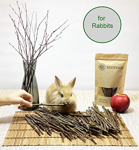 Apple Sticks 120 Gram Rabbit & Hamster Chew Toys - 100% Natural & Organic Chinchilla Food, Treats for Guinea Pig, Squirrels, Parrots & Other Small Animals (Made in Ukraine)