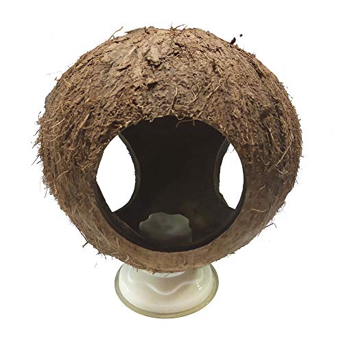 Aquarium Decor Fish Tank Three Hole Coconut Shell Dodge Hole Fish Cave Hole Shelter House Shrimp Nest/Bird's Nest (Coconut Shell & Suction Cup)