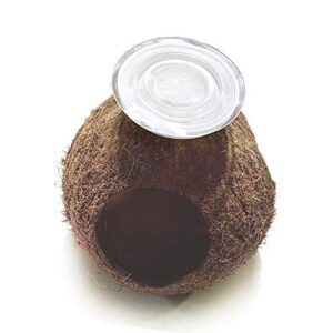 Aquarium Decor Fish Tank Three Hole Coconut Shell Dodge Hole Fish Cave Hole Shelter House Shrimp Nest/Bird's Nest (Coconut Shell & Suction Cup)