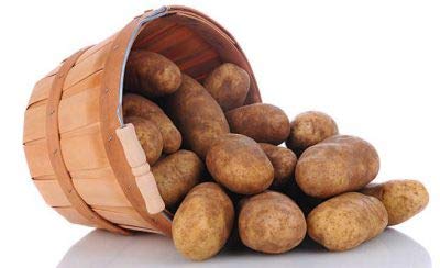 Simply Seed™ - Russet Burbanks - Naturally Grown Seed Potatoes - 5 LBS - Ready for Spring Planting !