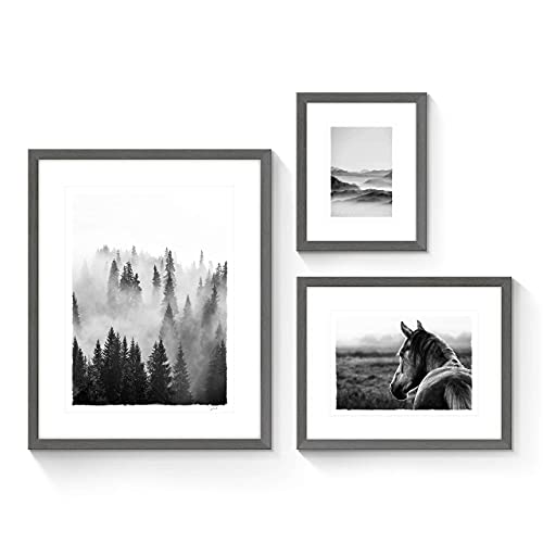 SunFlax Nature View Pictures Prints Framed - Mysterious Foggy Scenery Photography Black and White Wall Art with Wooden Frame for Bathroom, Living Room, Bedroom, Office 3 Panels