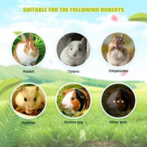 8 Pcs Small Animals Play Balls Rolling Activity Chew Toys Gnawing Treats for Rabbits Guinea Pigs Chinchilla Bunny Natural Balls, Pet Cage Entertainment Accessories (8 Pcs+ Pine Cone)