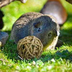 8 Pcs Small Animals Play Balls Rolling Activity Chew Toys Gnawing Treats for Rabbits Guinea Pigs Chinchilla Bunny Natural Balls, Pet Cage Entertainment Accessories (8 Pcs+ Pine Cone)