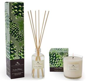 soap & paper factory roland pine diffuser 3.65 oz and candle 9.5oz with a gute wick snuffer (3 piece bundle)