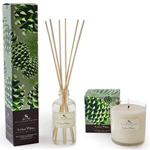 Soap & Paper Factory Roland Pine Diffuser 3.65 oz and Candle 9.5oz with A Gute Wick Snuffer (3 Piece Bundle)