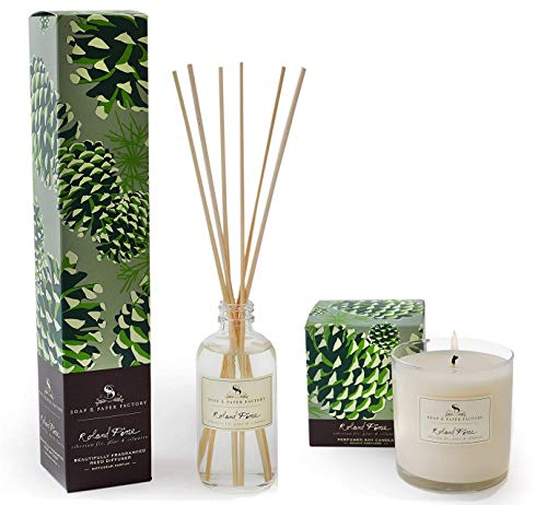 Soap & Paper Factory Roland Pine Diffuser 3.65 oz and Candle 9.5oz with A Gute Wick Snuffer (3 Piece Bundle)