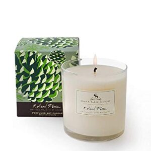 Soap & Paper Factory Roland Pine Diffuser 3.65 oz and Candle 9.5oz with A Gute Wick Snuffer (3 Piece Bundle)