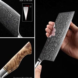 HEZHEN Meat Cleaver Butcher Knife Kitchen Vegetable Cleaver Chinese Chef Cooking Knife 6.8 Inch 67-Layer Damascus Steel Forged Sharp Utility Mincer Knife-Non-Slip Wooden Handle + Gift Box