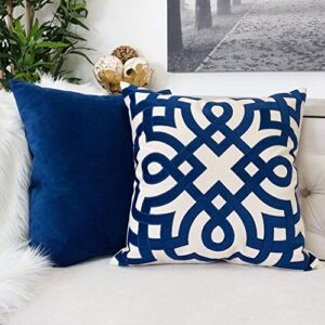 Homey COZY Ivy Throw Decoration Pillow, 1 Count (Pack of 1), Indigo