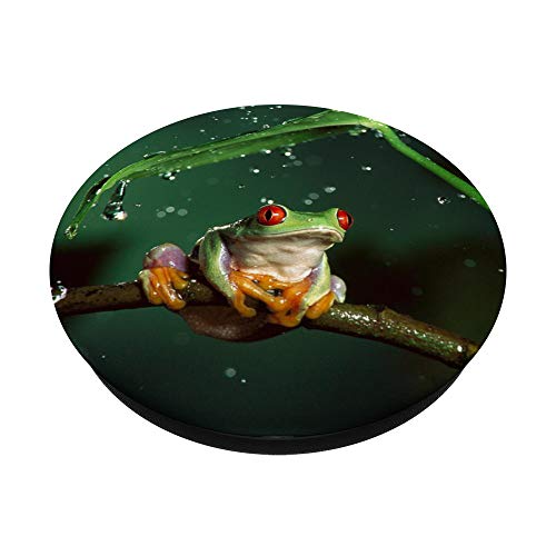 Frog Colorful Funny Animals Frog lovers Gift PopSockets Grip and Stand for Phones and Tablets