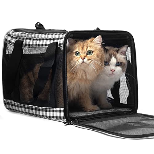 EXPAWLORER Large Cat Carrier for 2 Cats, Soft-Sided Pet Carrier for Cat,Top Load Cat Carriers for Medium Cats Under 25,Airline Approved Pet Travel Bag Fit 2 Kitties Small Dogs