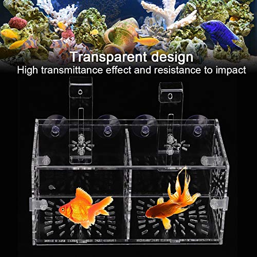 Aquarium Breeder Box, Acrylic Transparent Fish Breeding Box Tank Hatchery Incubator Aquarium Isolation Box(20CM*10CM*10CM)