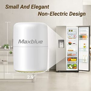 Maxblue Odor Eliminator, Air Freshener, Keep Foods' Freshness, Home Odor Absorber, Deodorizer and Eliminator for Refrigerator, Closet, Kitchen, Room, Eco Friendly