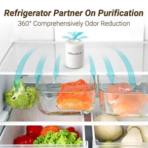 Maxblue Odor Eliminator, Air Freshener, Keep Foods' Freshness, Home Odor Absorber, Deodorizer and Eliminator for Refrigerator, Closet, Kitchen, Room, Eco Friendly