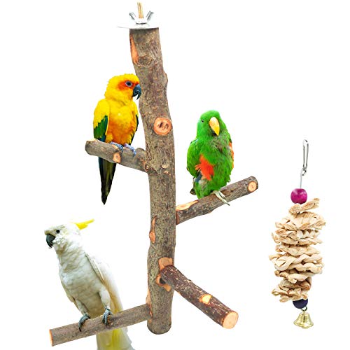 Bird Perch Nature Apple Hard Wood Stand, Parrot Stand Toy Branch Platform Paw Grinding Stick for Small Parakeets Cockatiels Conures Parrots Love Birds Finches Cage Accessories (Set 1)