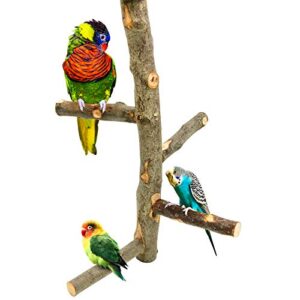 Bird Perch Nature Apple Hard Wood Stand, Parrot Stand Toy Branch Platform Paw Grinding Stick for Small Parakeets Cockatiels Conures Parrots Love Birds Finches Cage Accessories (Set 1)