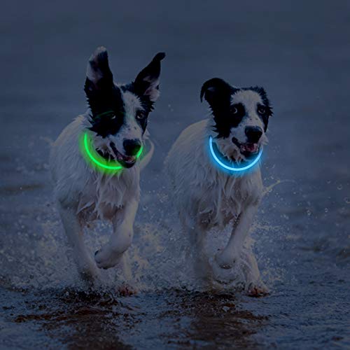 Novkin 2-Pack LED Dog Collar, Light Up Dog Collars,Rechargeable Dog Lights for Night Walking，Universal, Reusable Safety Necklace for Small Medium Large Dogs