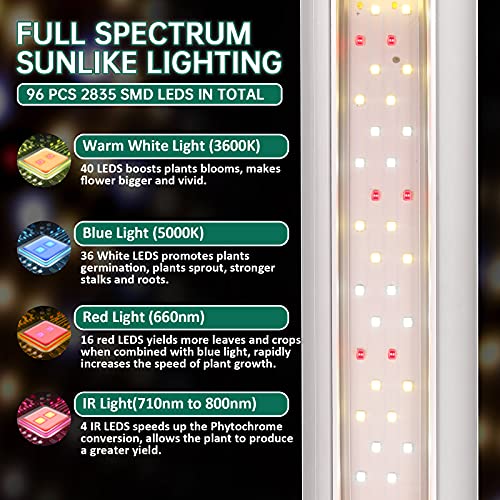 SZHLUX Grow Light 2FT 80W (2×40W) Full Spectrum LED Grow Light, Linkable Sunlight Plant Light for Indoor Plants, Grow Light Strip, Grow Lamp with On/Off Switch - 2 Pack