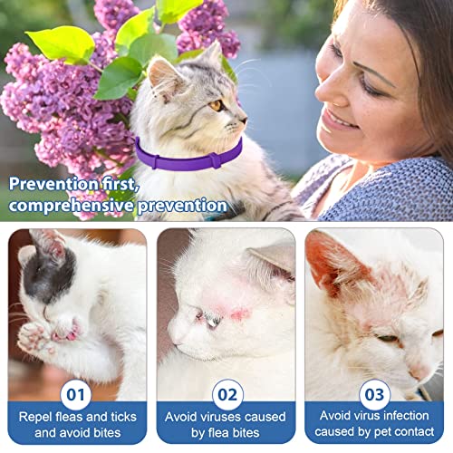 Purple Flea and Tick Collar for Cats & Kittens, Cat Flea Collar 2 Pack Made with Plant Based Essential Oil, 8-Month Natural Flea and Tick Prevention Treatment and Protection