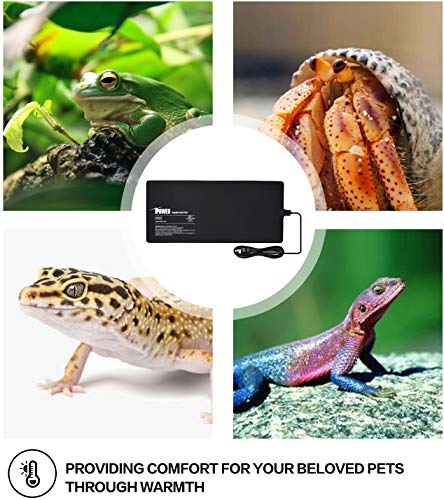 iPower 8" x 18" Reptile Heat Mat Under Tank Heater Terrarium Heating Pad for Amphibians and Reptiles Pet, Digital Thermometer and Hygrometer with Humidity Probe, Black