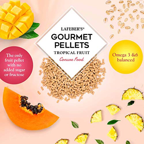 LAFEBER'S Tropical Fruit Gourmet Pellets Pet Bird Food, No Added Sugar, Made with Non-GMO and Human-Grade Ingredients, for Conures, 4 lb
