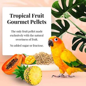 LAFEBER'S Tropical Fruit Gourmet Pellets Pet Bird Food, No Added Sugar, Made with Non-GMO and Human-Grade Ingredients, for Conures, 4 lb