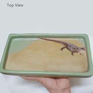 Fuongee Reptile Feeding Dish Bowl Food and Water Bowl Tortoise Dish Reptile Tank Decor, Heavy Duty Ceramic Feeding Dish, Large Size
